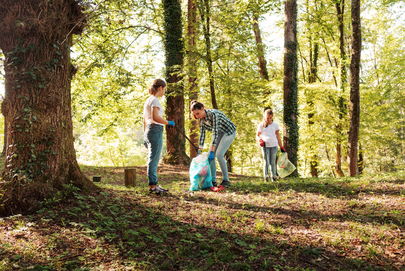 Junge Menschen sammeln Abfall im Wald